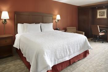 Hampton Inn Cincinnati-Kings Island