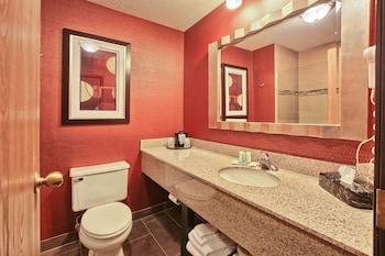 Comfort Inn & Suites Hotel and Conference Center