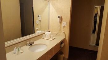Mosi Inn Busch Gardens
