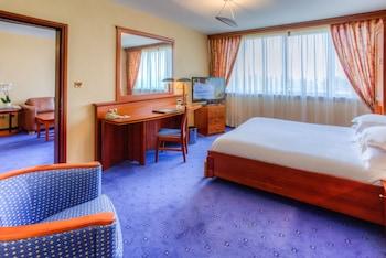 Hilton Strasbourg