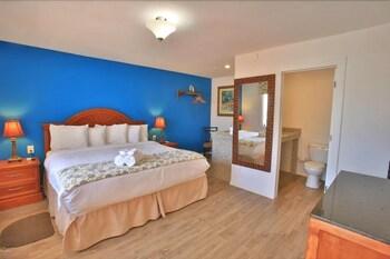 Dream Inn