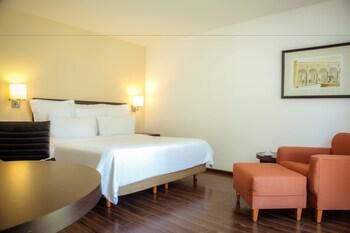 Fiesta Inn Aguascalientes