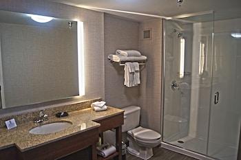 Hampton Inn Cincinnati-Riverfront