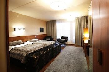 Spa Hotel Levitunturi