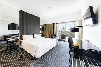 Palace Hotel Monte Real