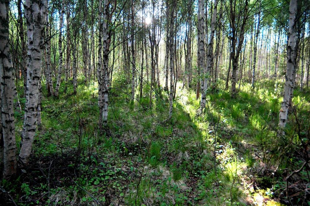 surroundings