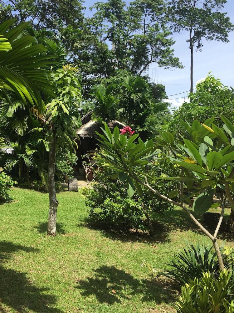 surroundings