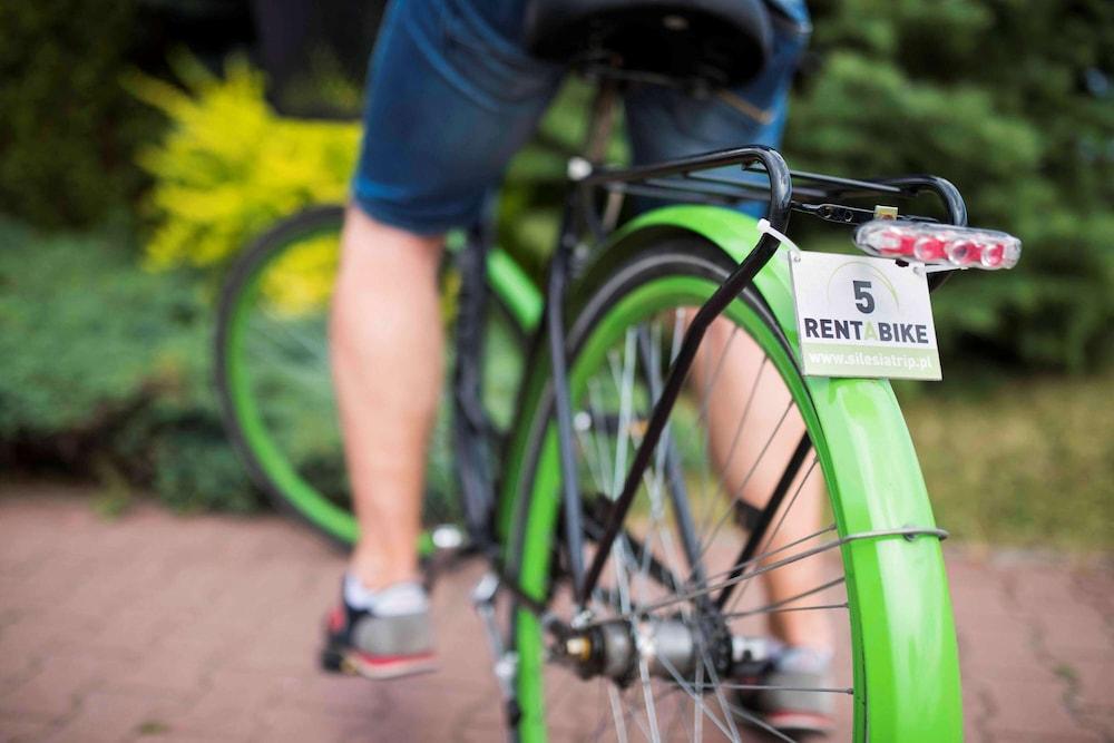 surroundings