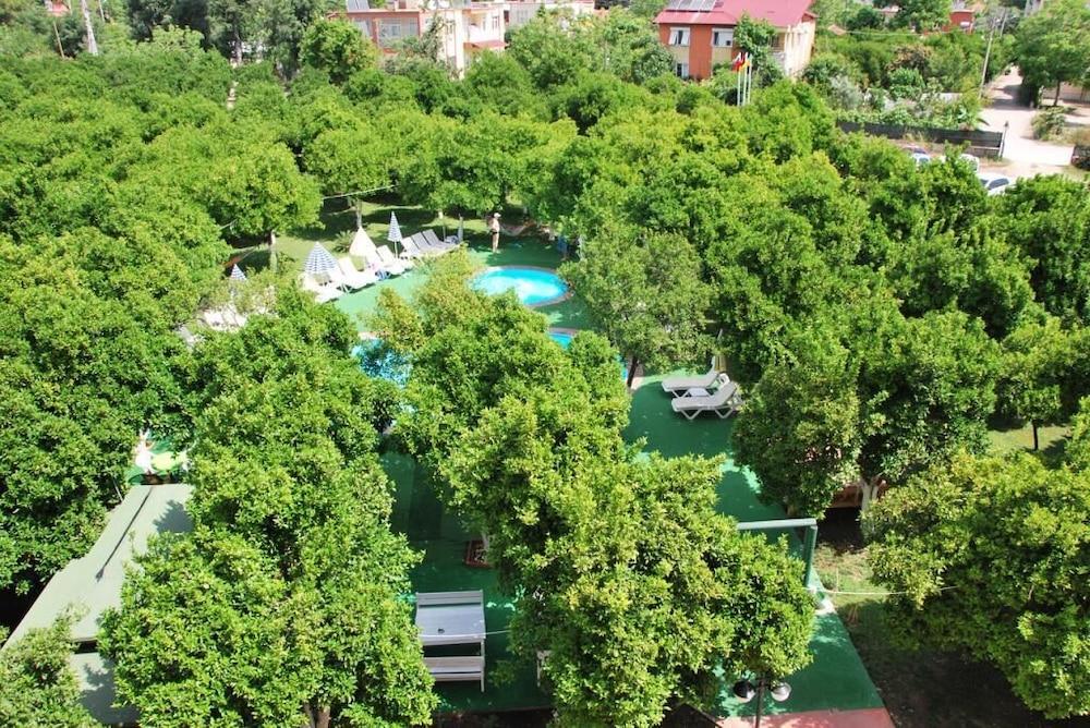 surroundings