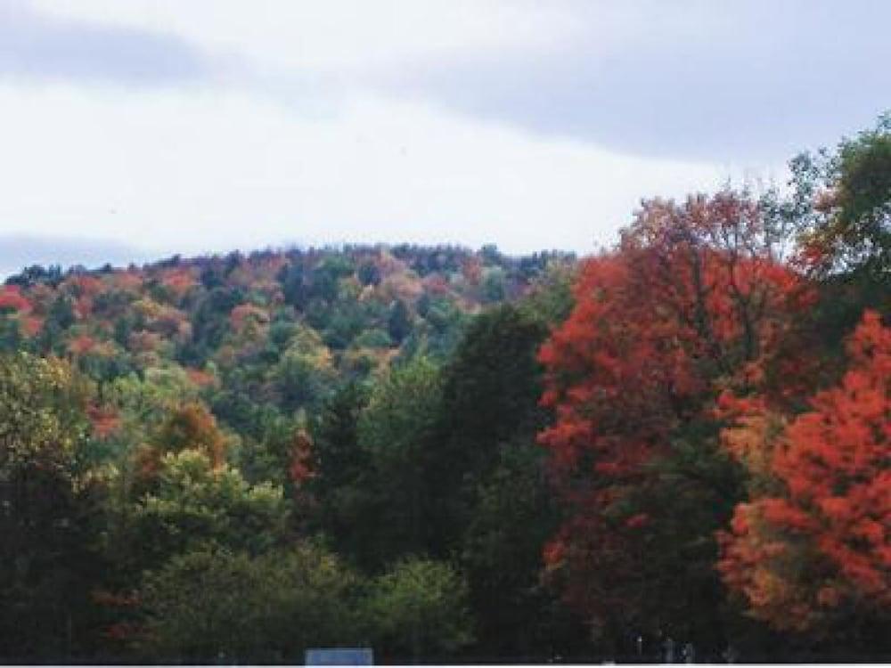 surroundings