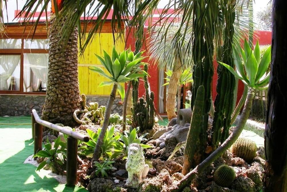 surroundings