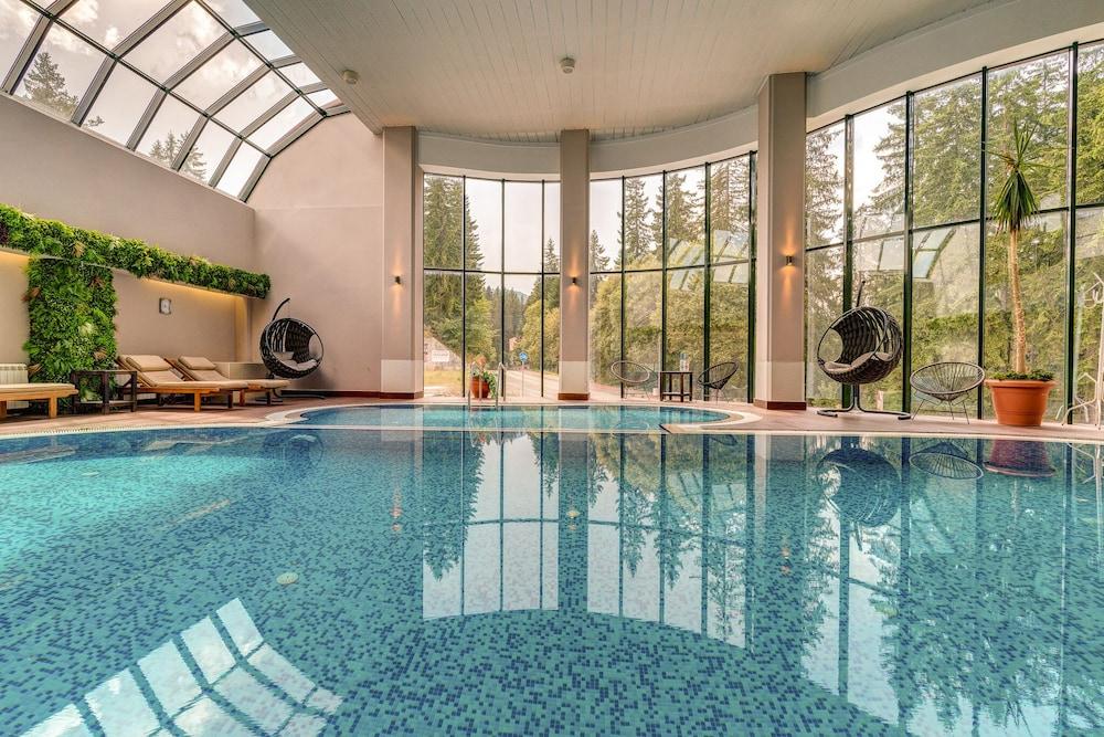 swimming pool spa