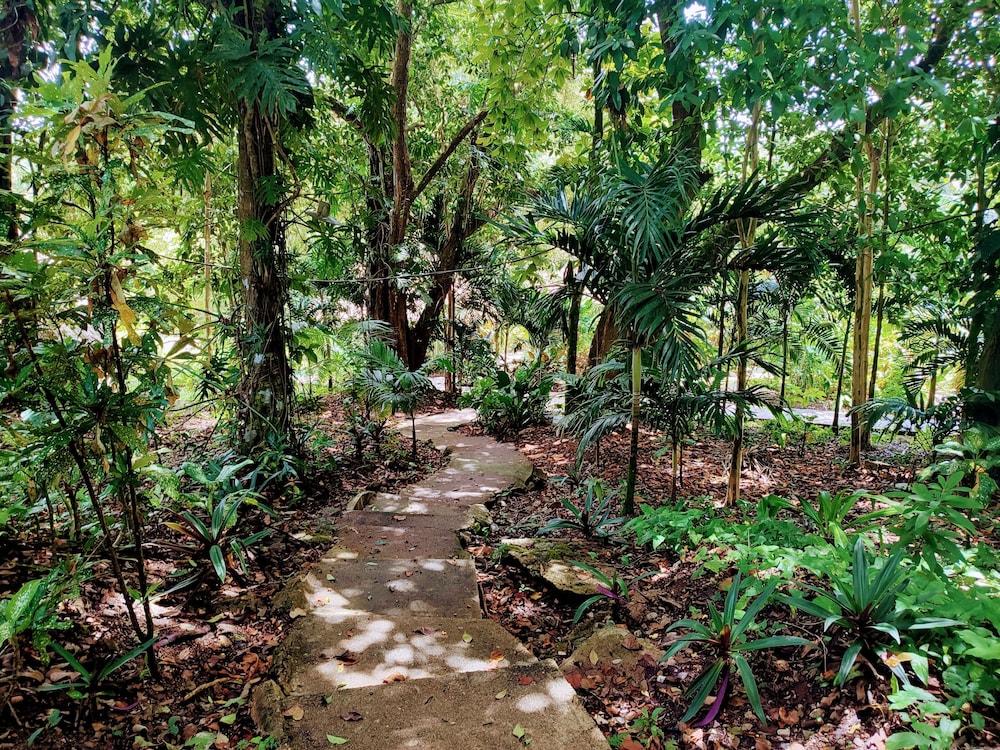surroundings