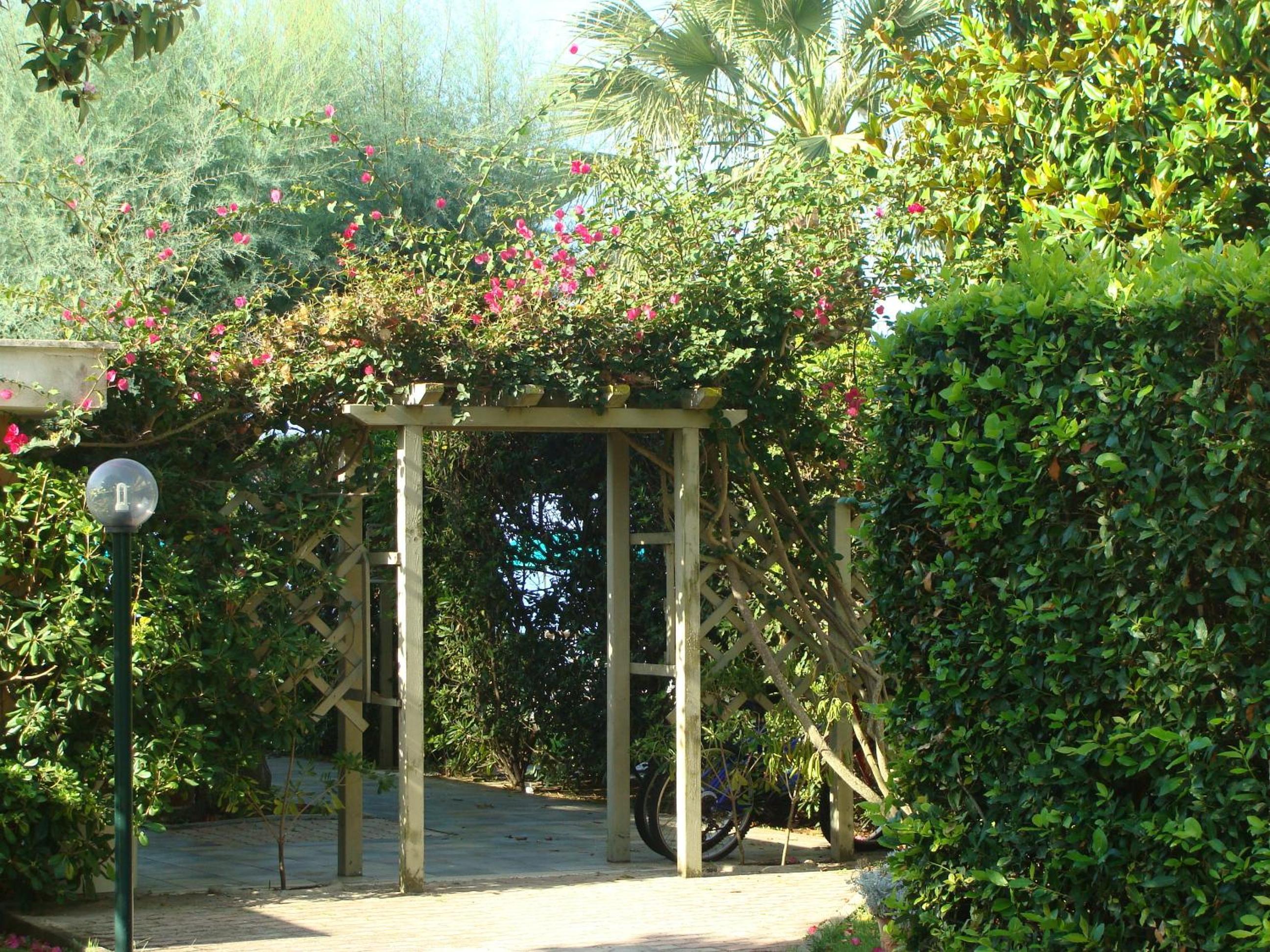 surroundings