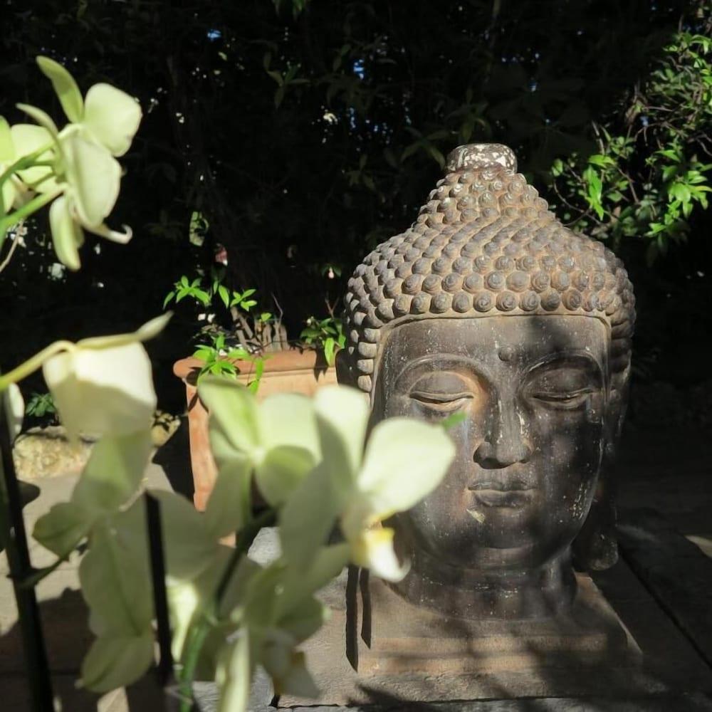 surroundings