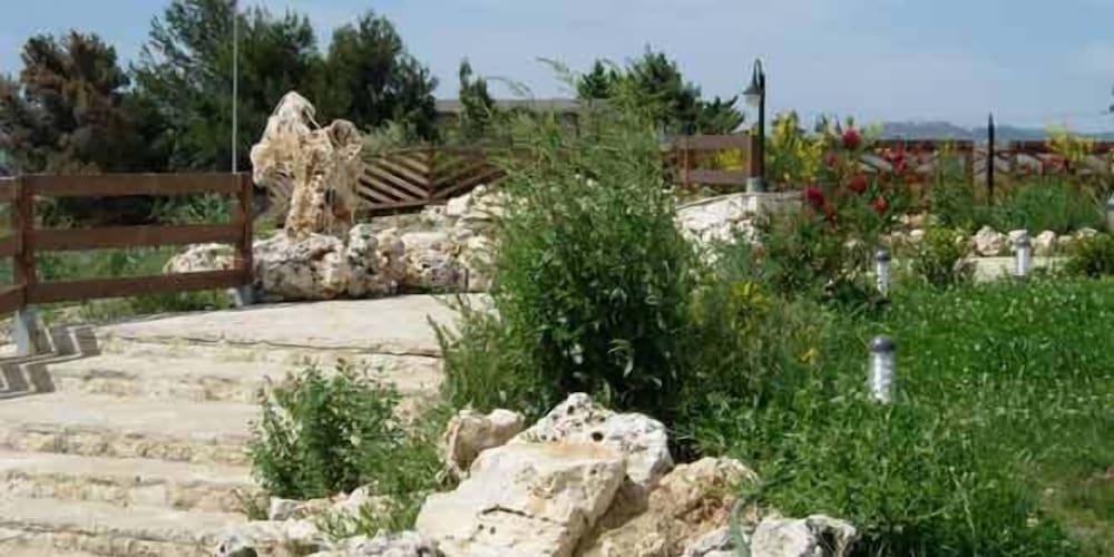 surroundings