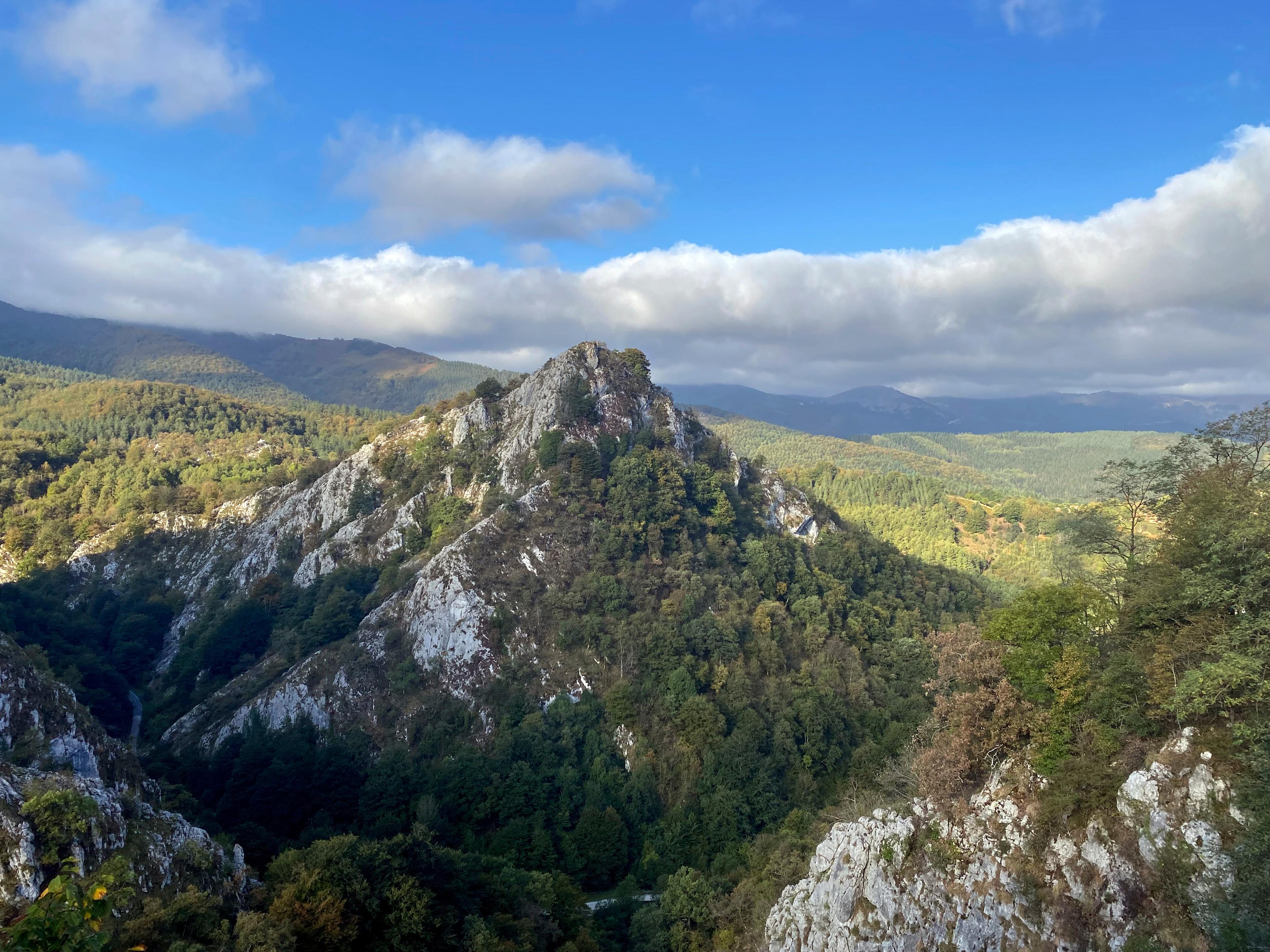 surroundings