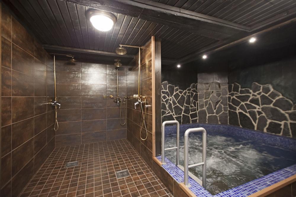 swimming pool spa