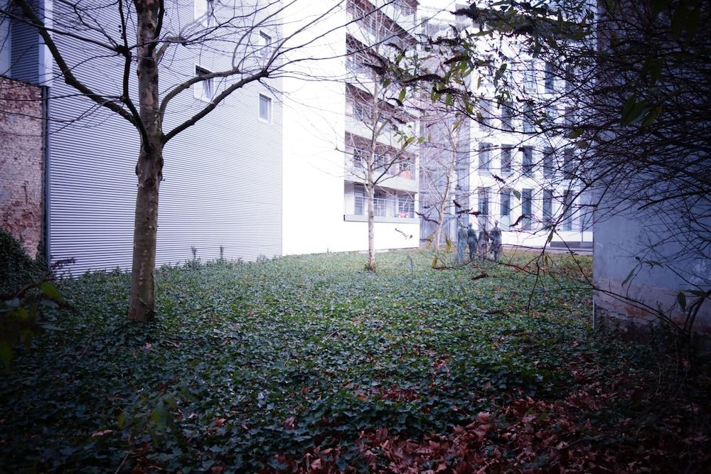 surroundings
