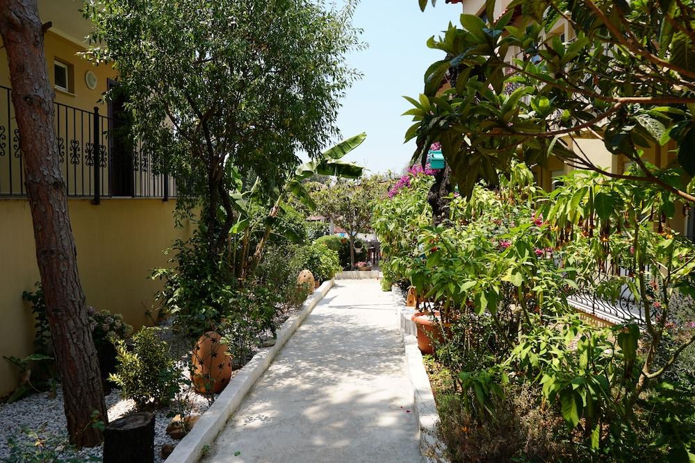 surroundings
