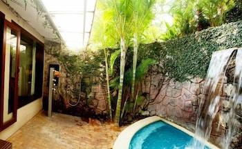 swimming pool spa