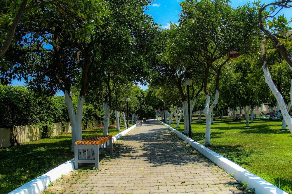 surroundings