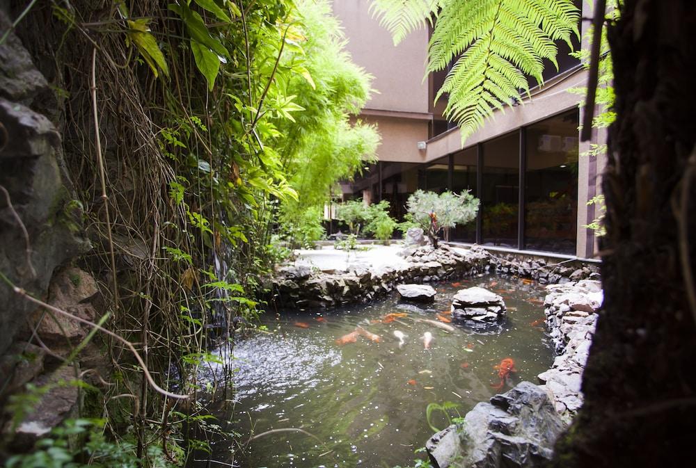 swimming pool spa