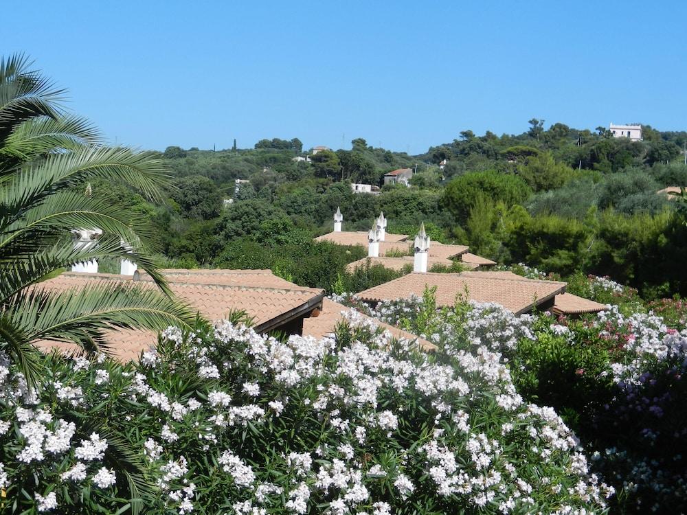 surroundings