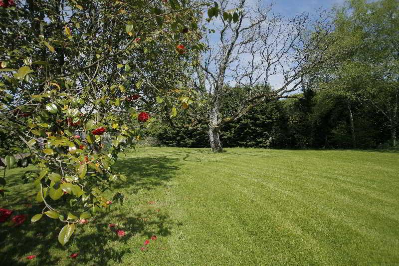 surroundings