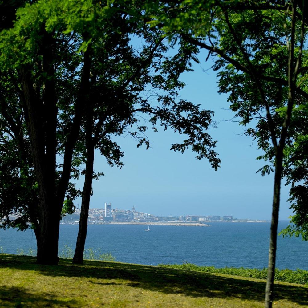 surroundings