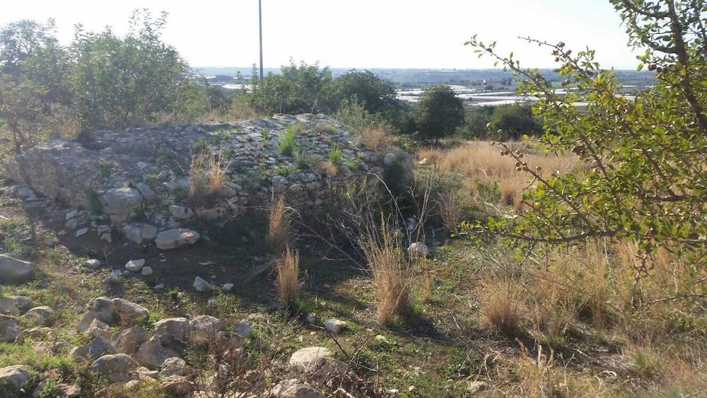 surroundings