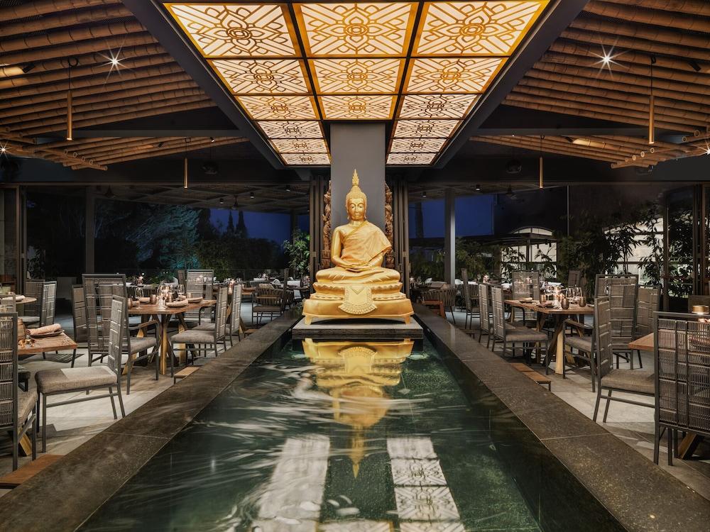 swimming pool spa