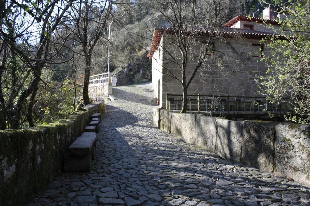 surroundings