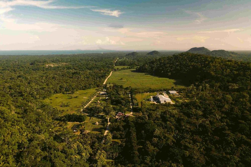 surroundings