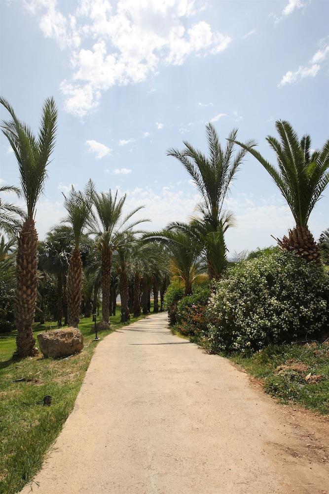 surroundings