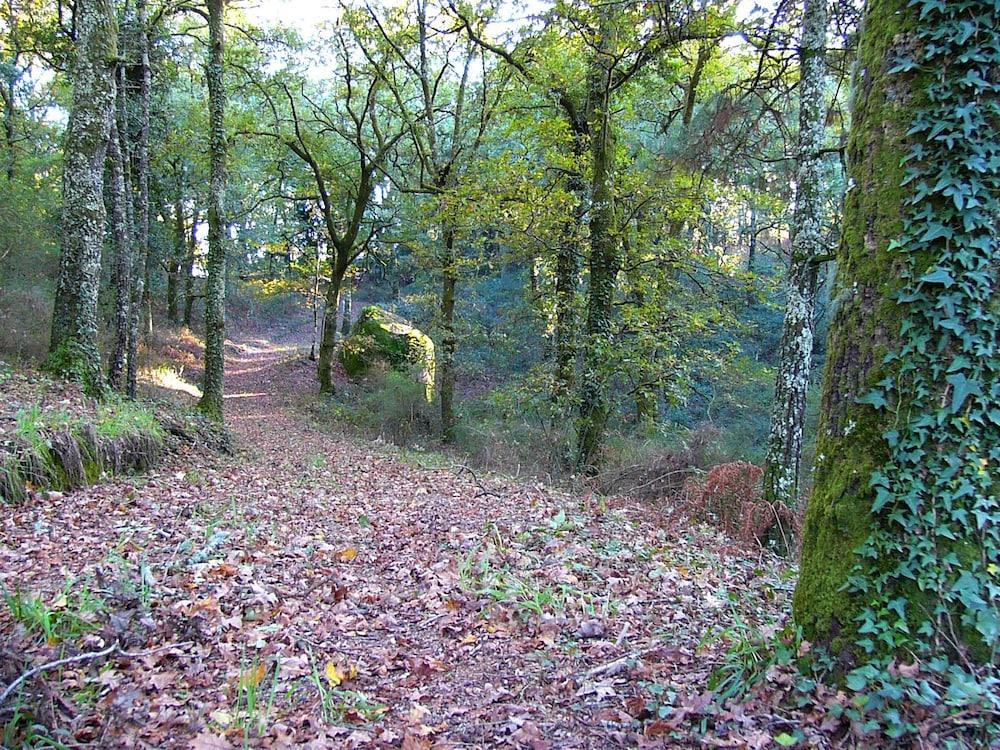 surroundings