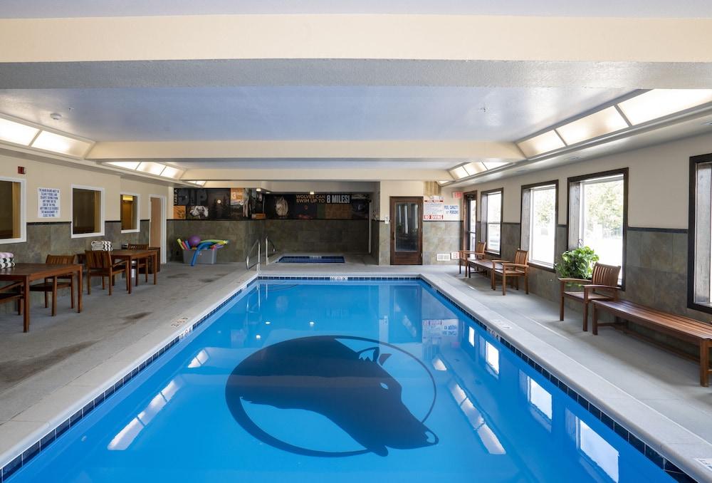 swimming pool spa