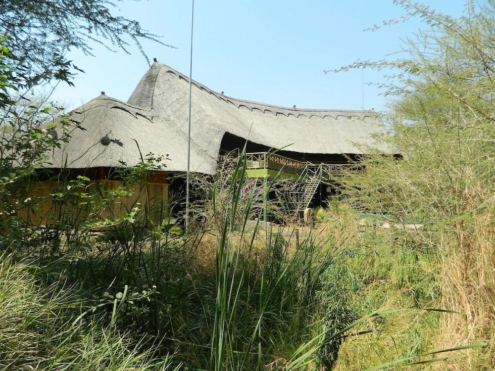surroundings