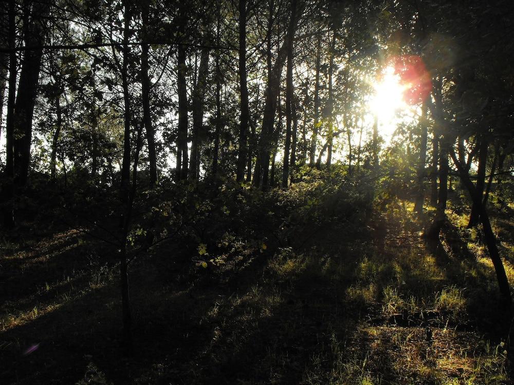 surroundings