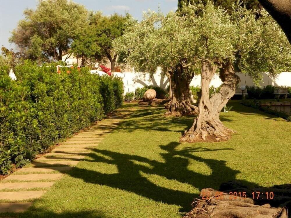 surroundings