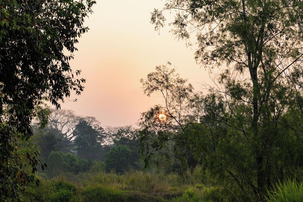 surroundings