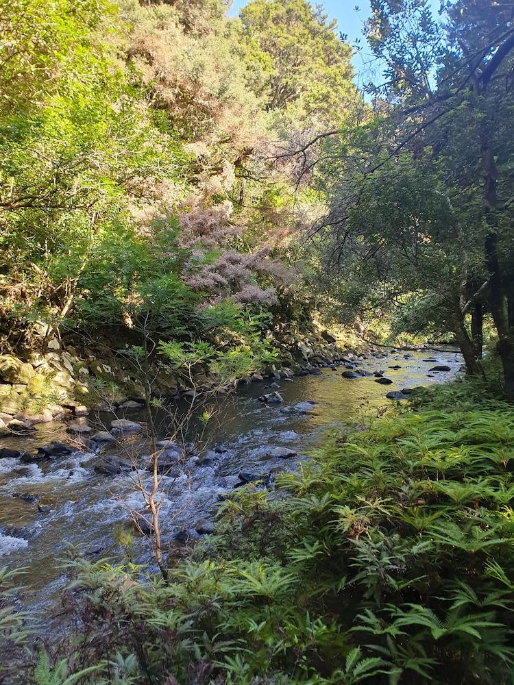 surroundings