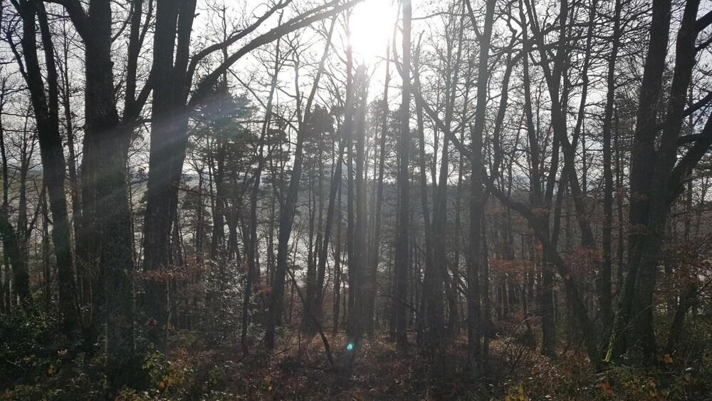 surroundings