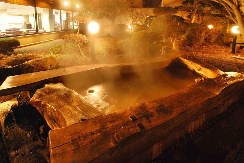 swimming pool spa