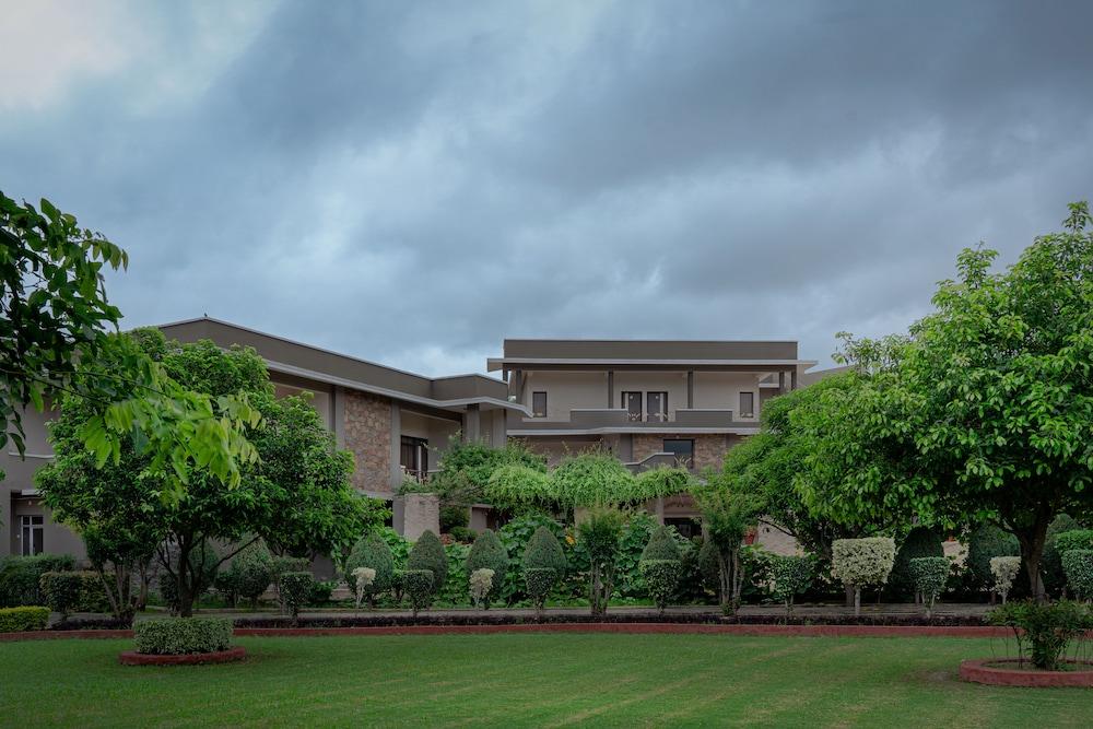 surroundings