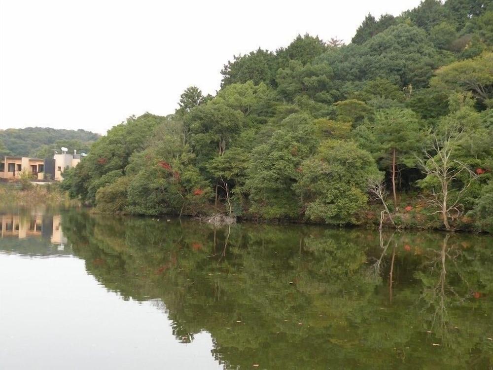 surroundings