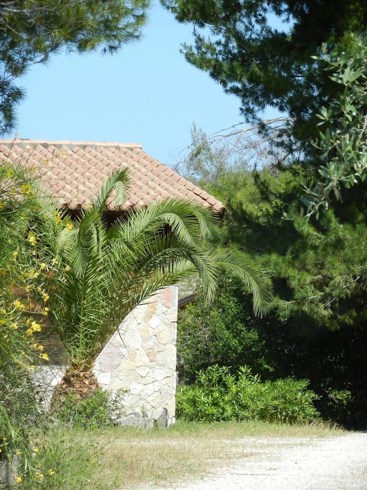 surroundings