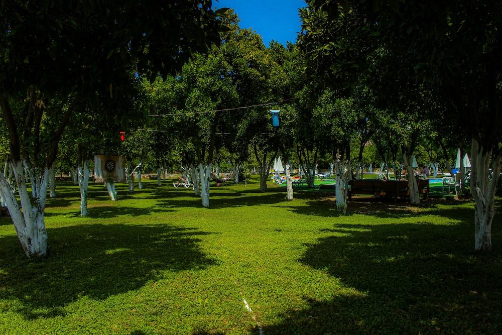 surroundings