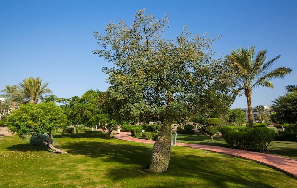 surroundings