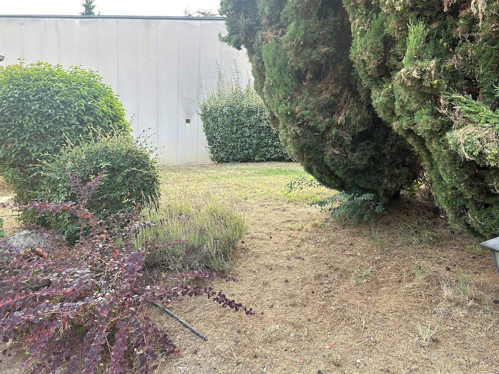 surroundings